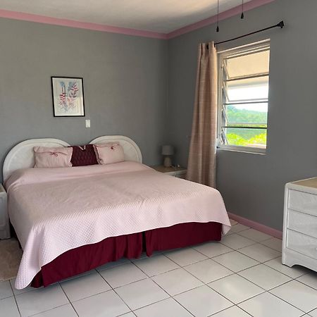 Turtles Nest Bahamas Apartment George Town Bagian luar foto