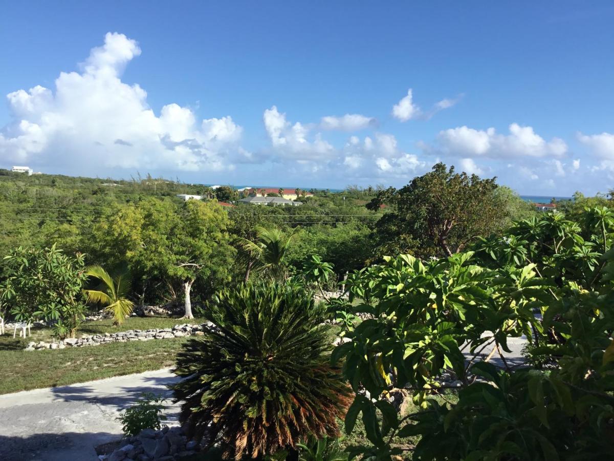 Turtles Nest Bahamas Apartment George Town Bagian luar foto